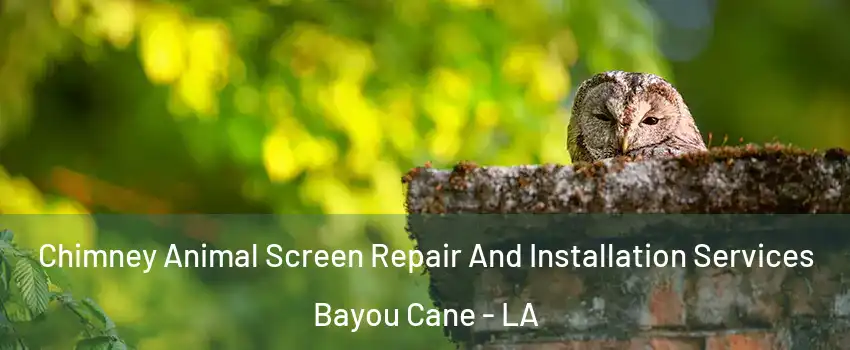  Chimney Animal Screen Repair And Installation Services Bayou Cane - LA