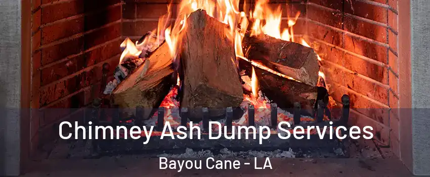  Chimney Ash Dump Services Bayou Cane - LA