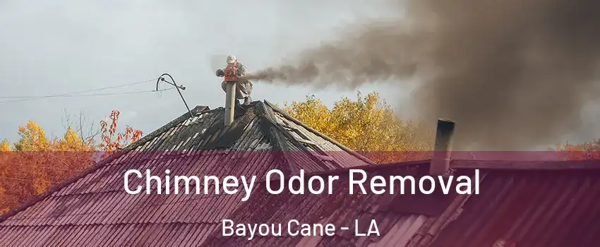  Chimney Odor Removal Bayou Cane - LA