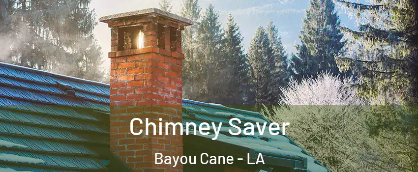  Chimney Saver Bayou Cane - LA