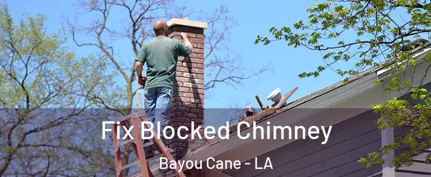  Fix Blocked Chimney Bayou Cane - LA