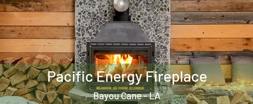  Pacific Energy Fireplace Bayou Cane - LA